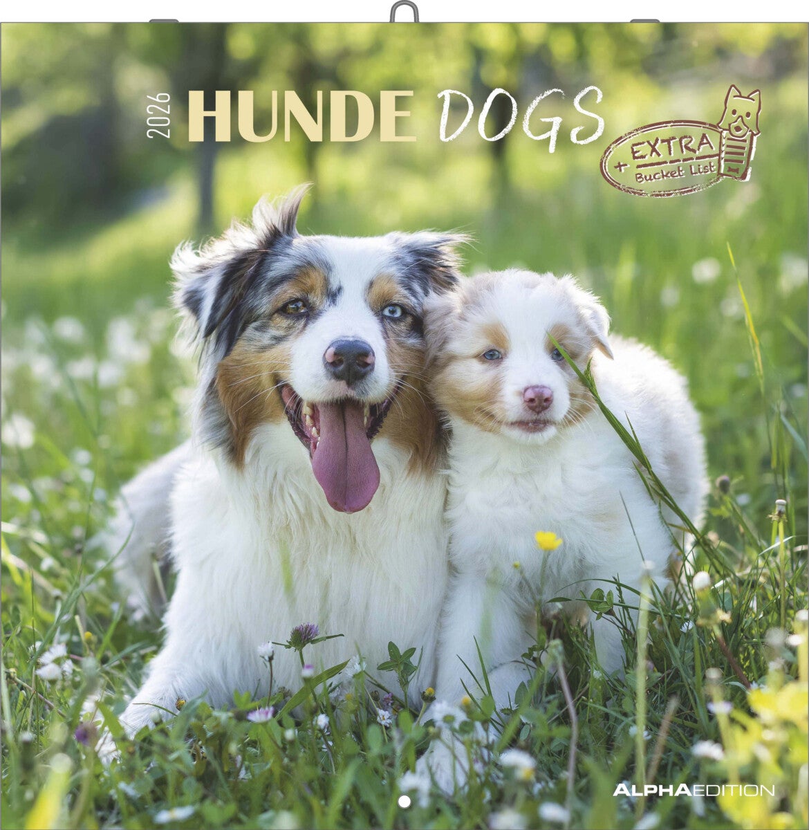 Kalender 2026 30x30 Dogs