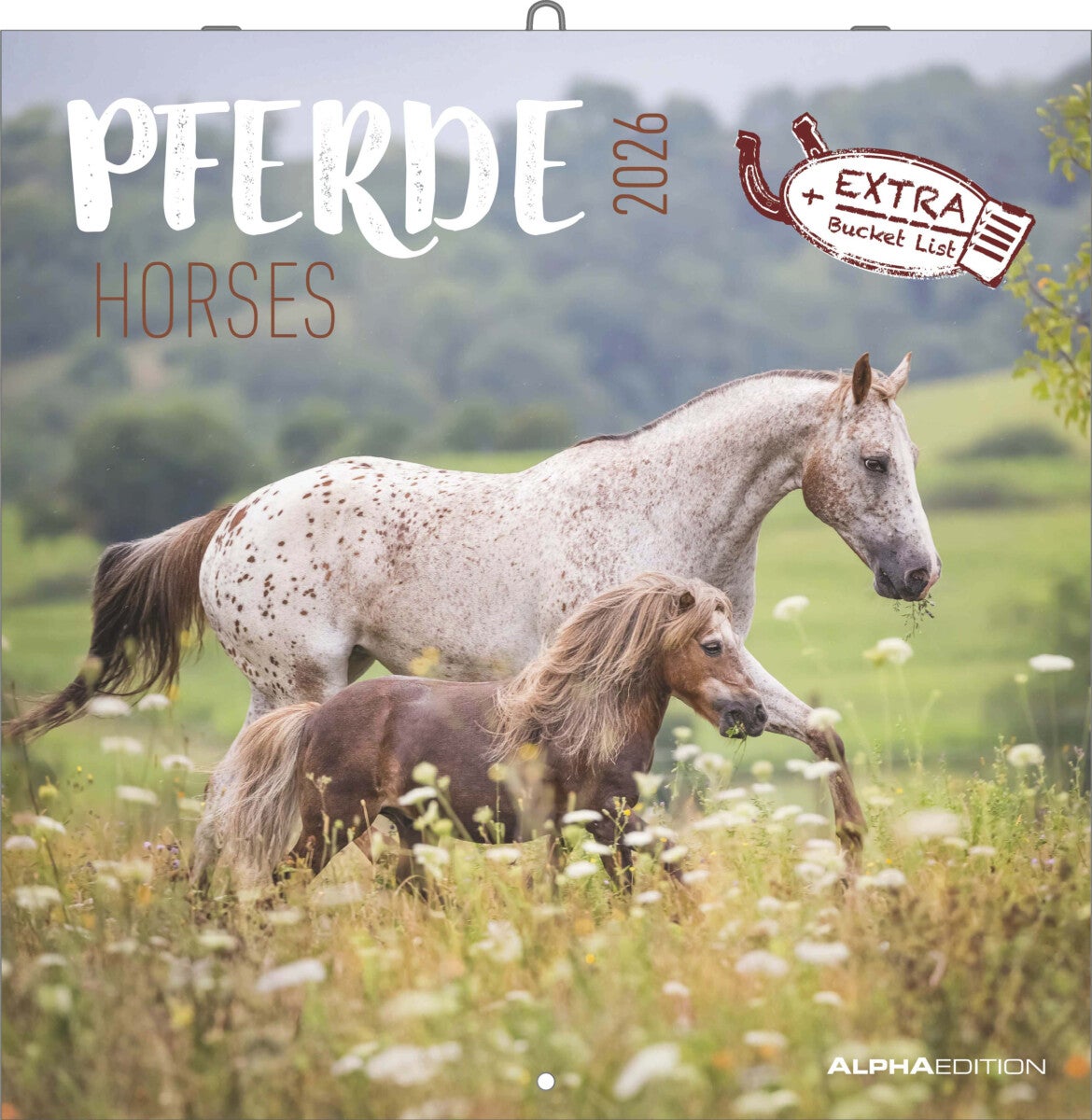 Kalender 2026 30x30 Horses