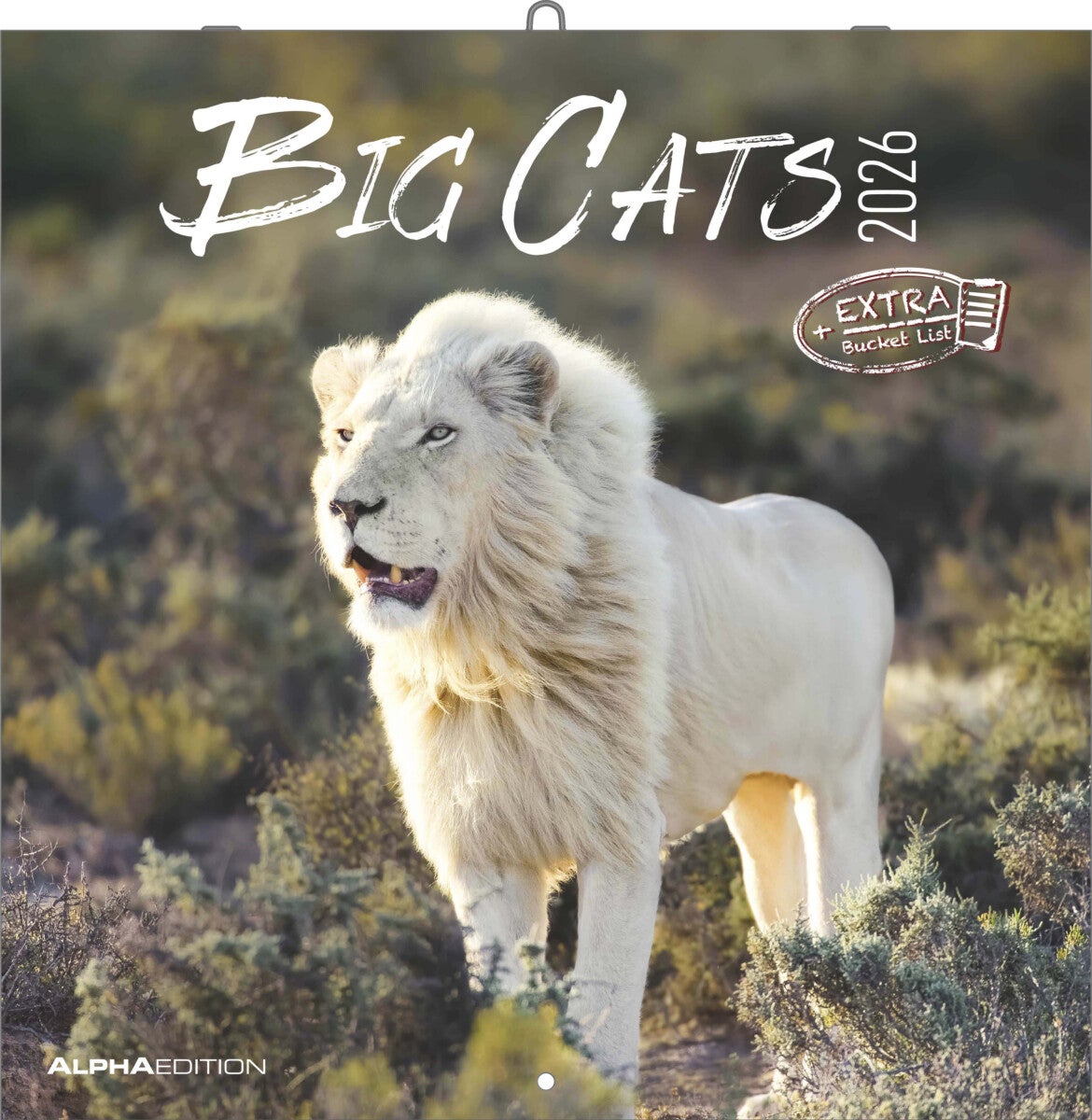 Kalender 2026 30x30 Big Cats