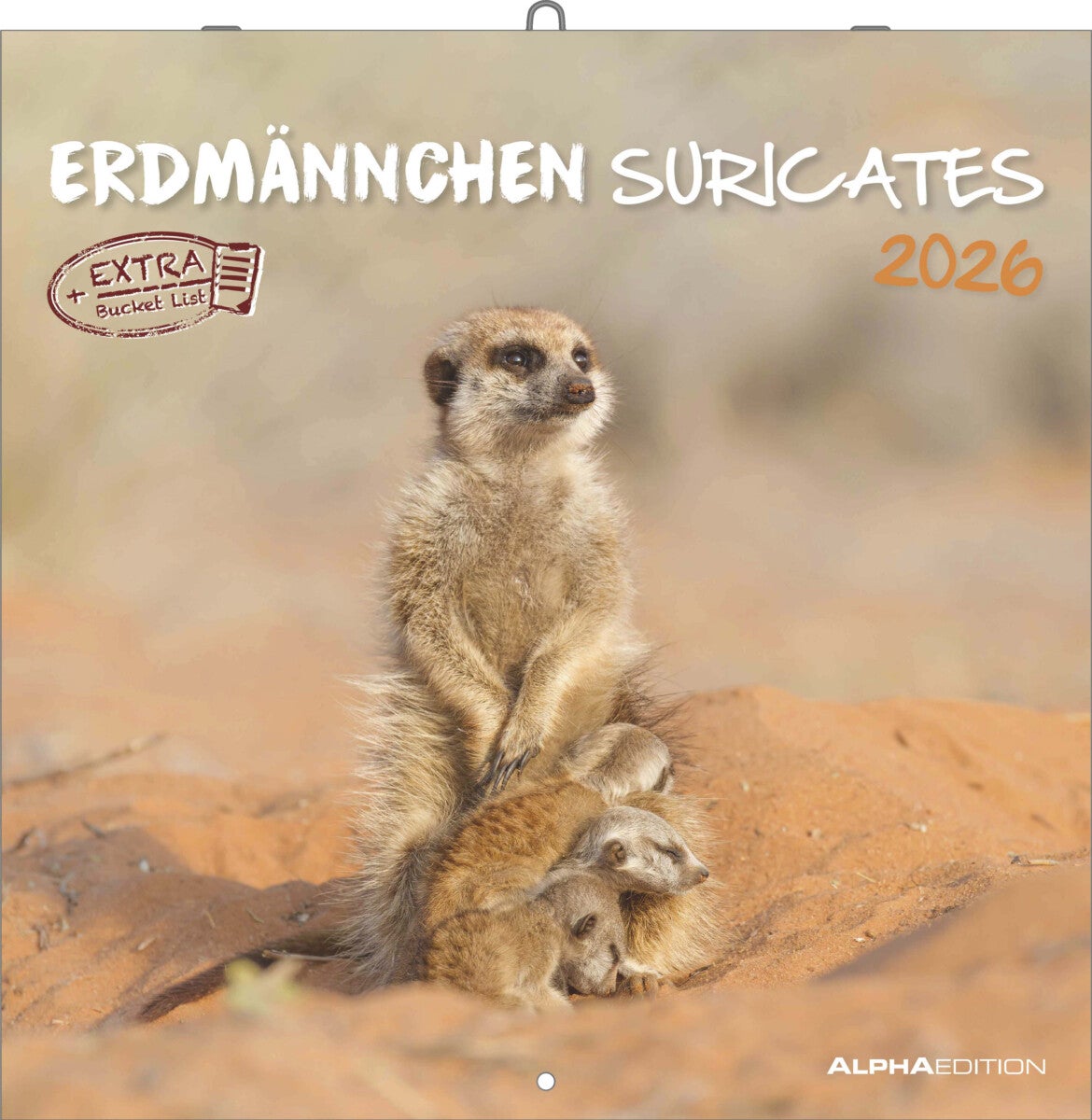 Kalender 2026 30x30 Suricates