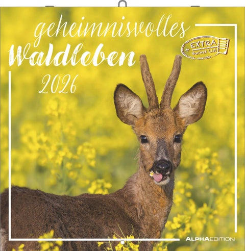 Kalender 2026 30x30 Forest Animals