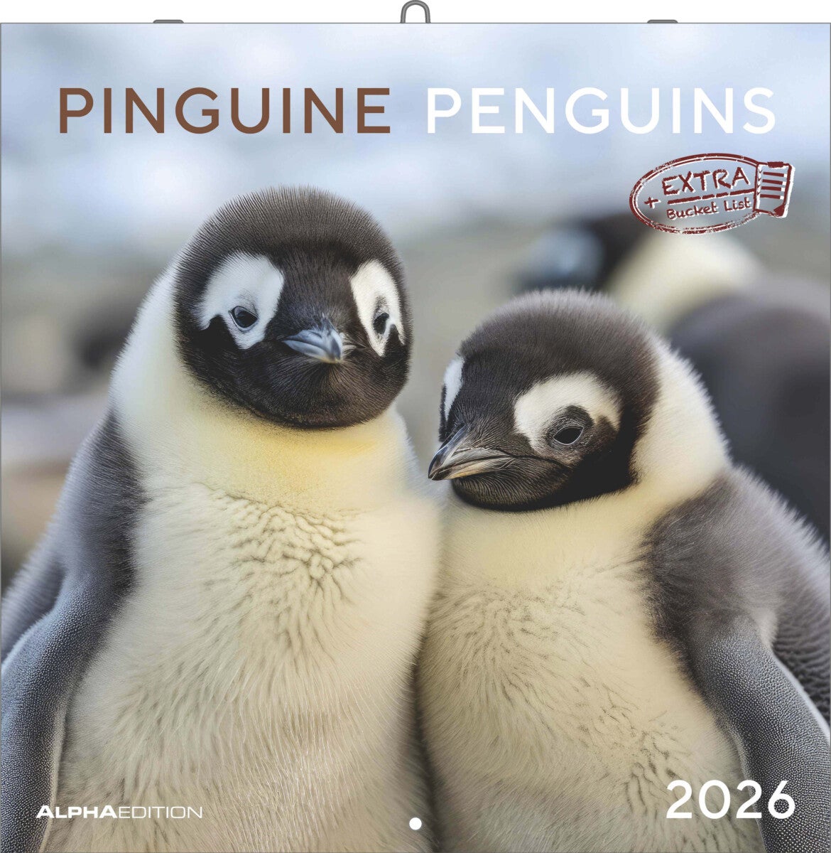Kalender 2026 30x30 Penguins