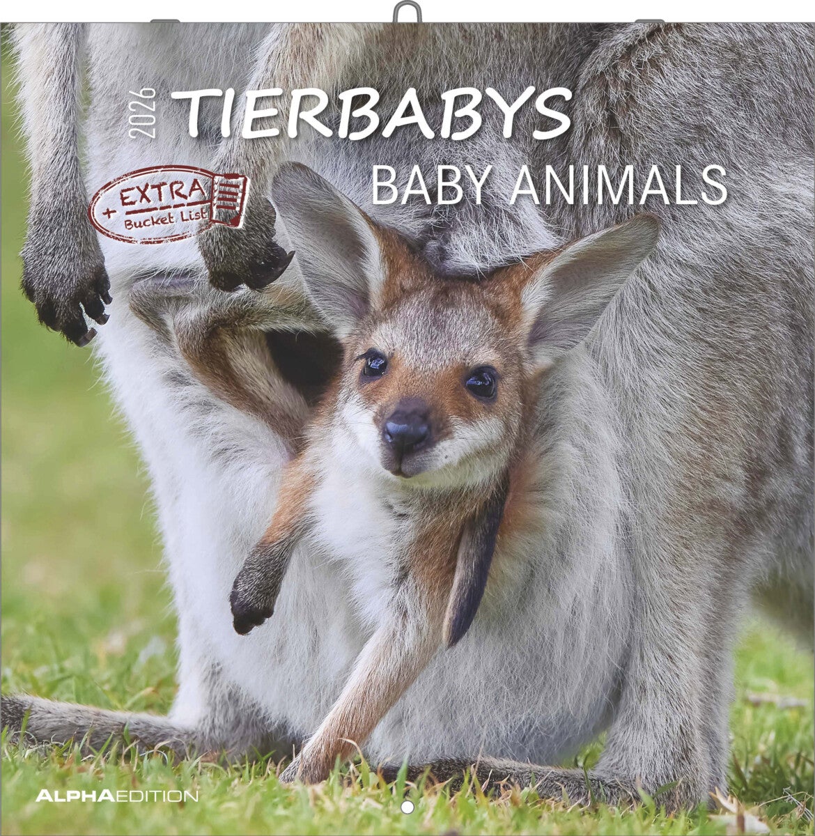 Kalender 2026 30x30 Baby Animals