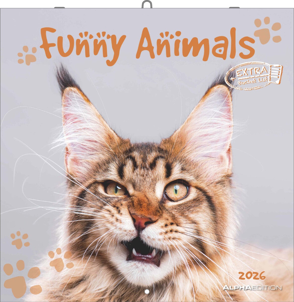Kalender 2026 30x30 Funny Animals