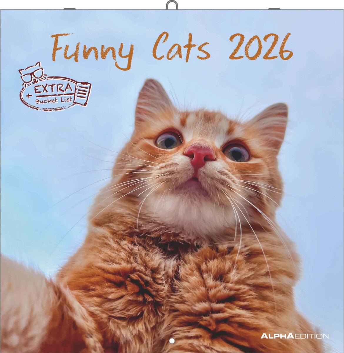 Kalender 2026 30x30 Funny Cats