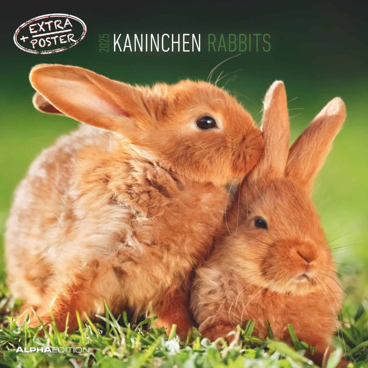 Kalender 2025 Rabbits 30x30cm