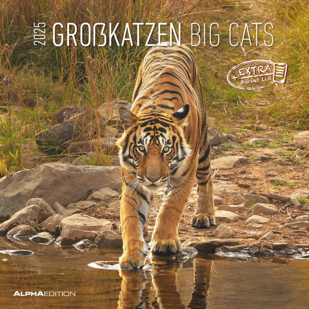Kalender 2025 Big Cats 30x30cm