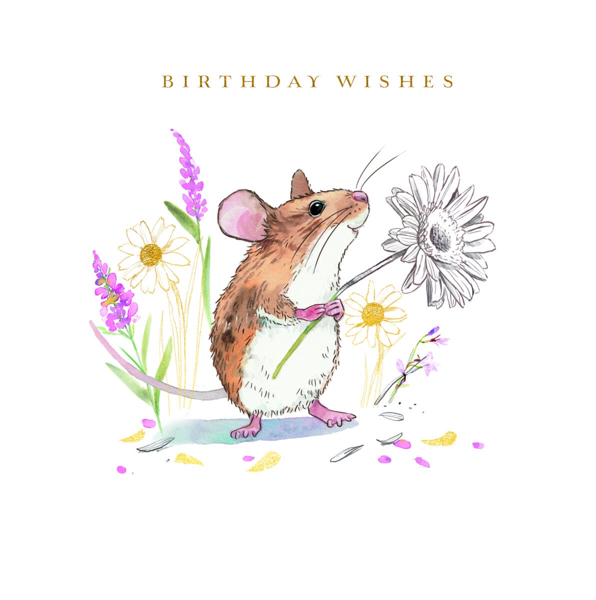 Kort Willow and Walnut Sweet friend