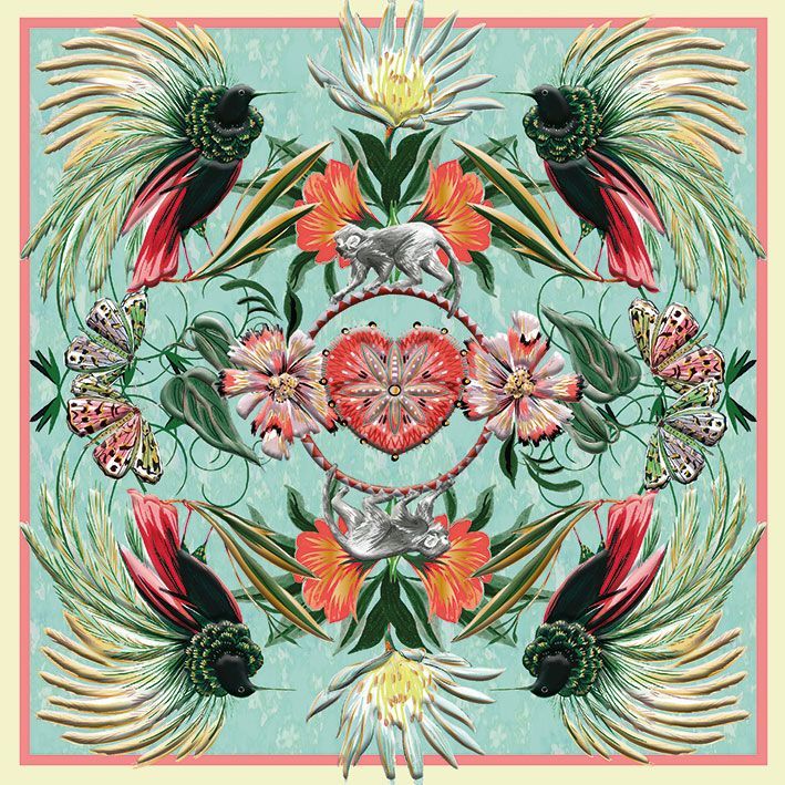 Kort Matthew Williamson Birds of the Amazon