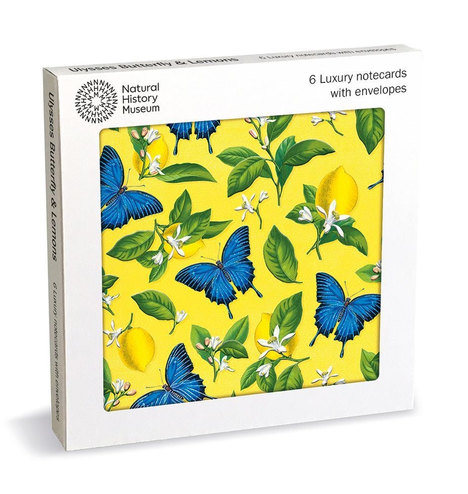 Kortpakke Butterfly and Lemons 6 pk