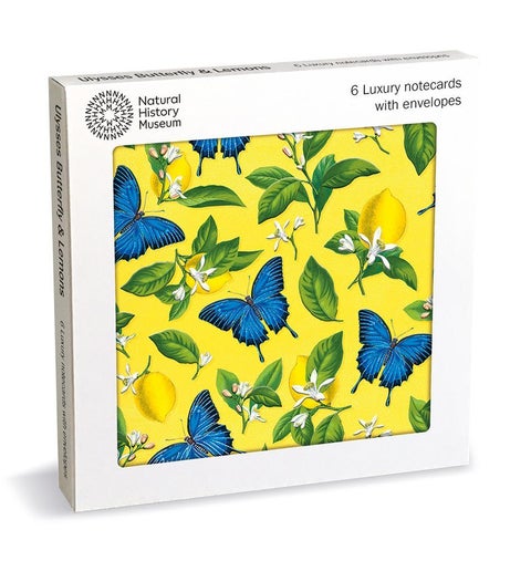 Kortpakke Butterfly and Lemons 6 pk