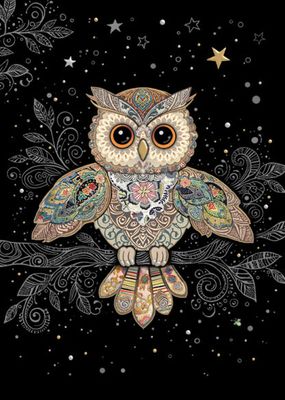 Kort Bug Art Jewels Patterned Owl