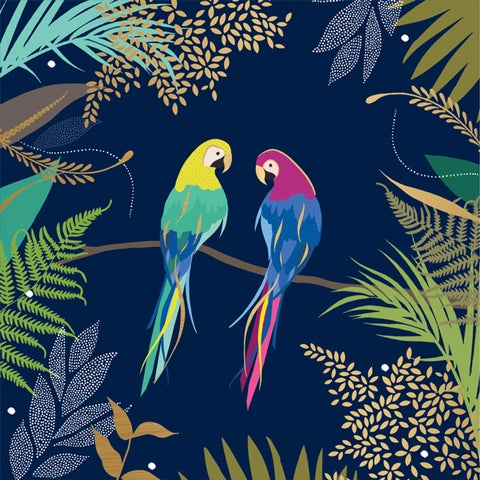 Kort Sara Miller Parrots