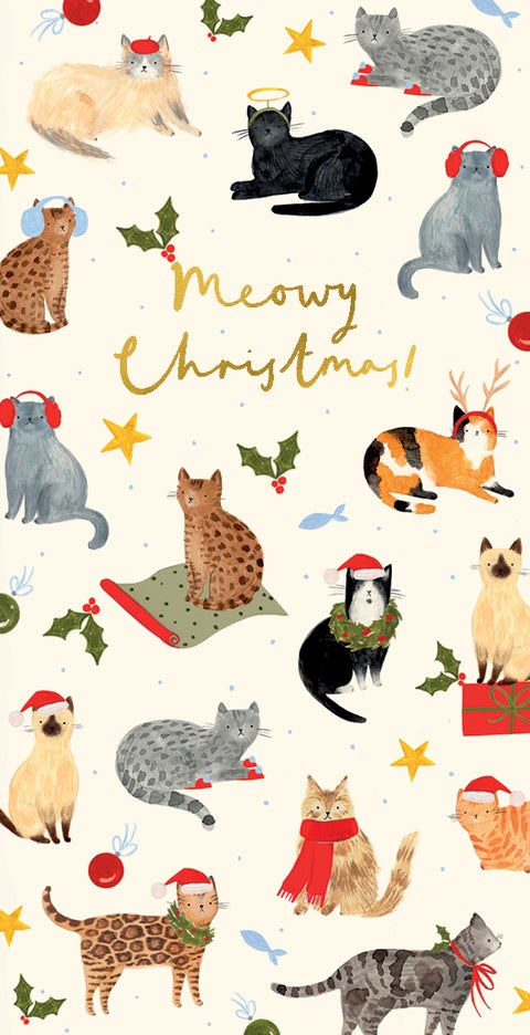 Julekort Pengelomme Cats