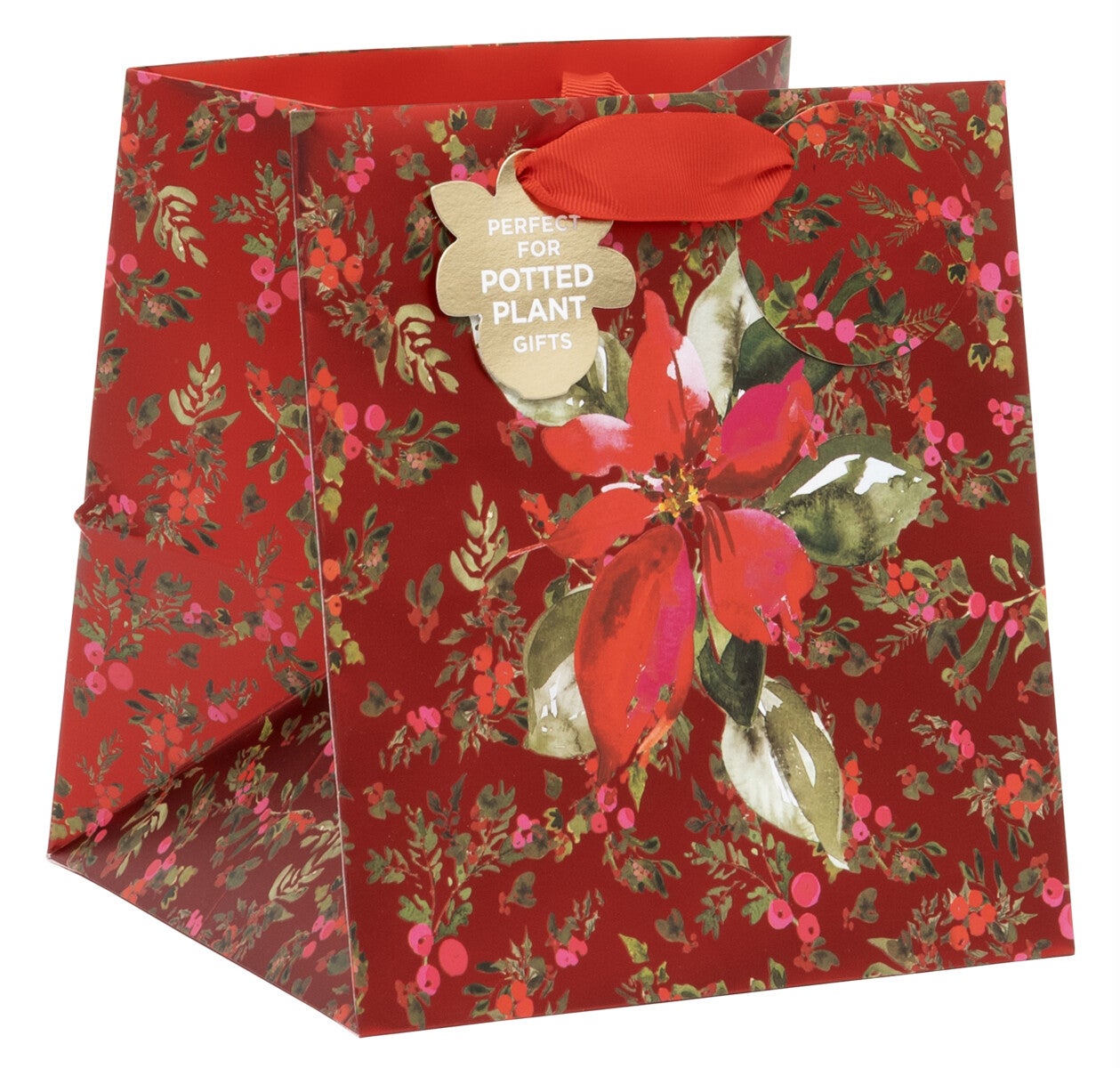 Gavepose Plante Perfect Poinsettia Red