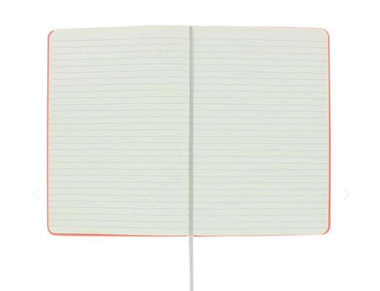 Notatbok Agenzio Pink Silver L