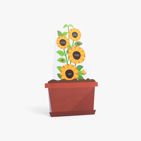 Kort PC Sunflowers