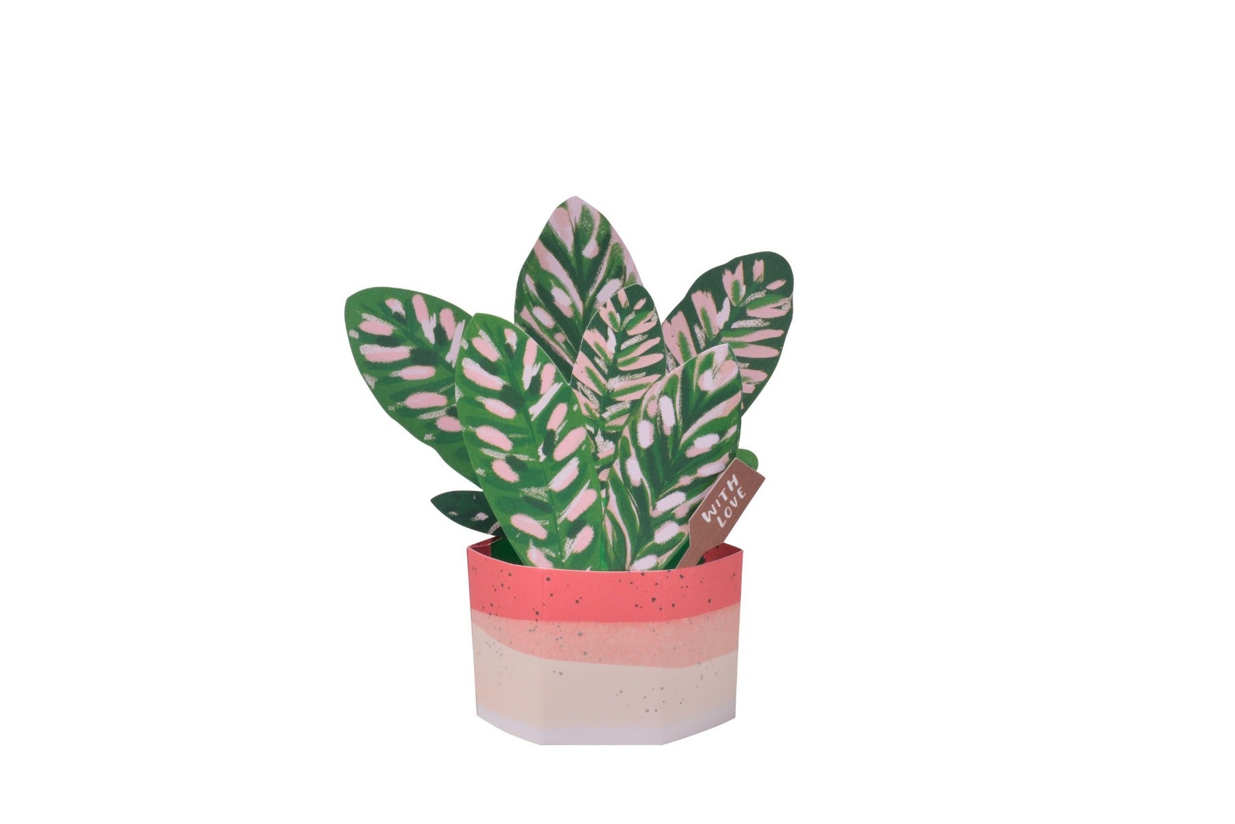 Kort Plant Pot