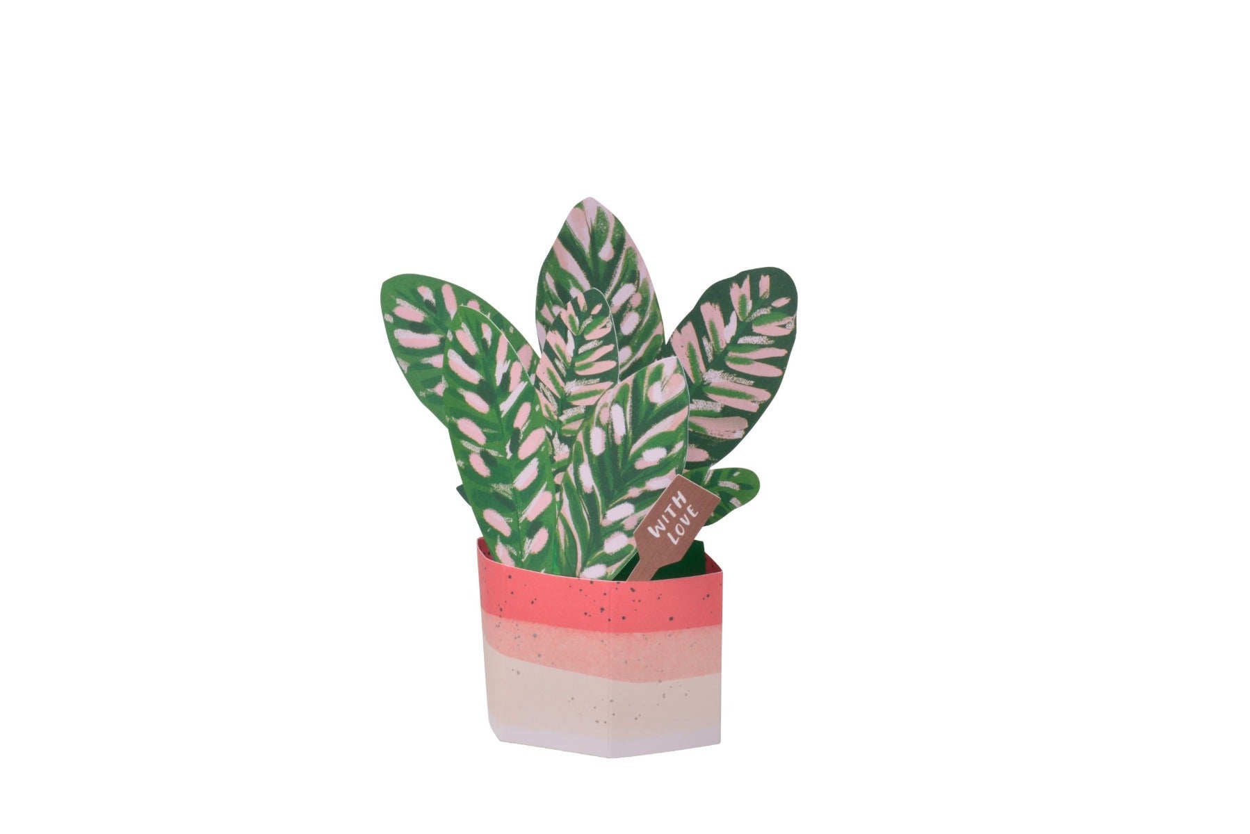 Kort Plant Pot