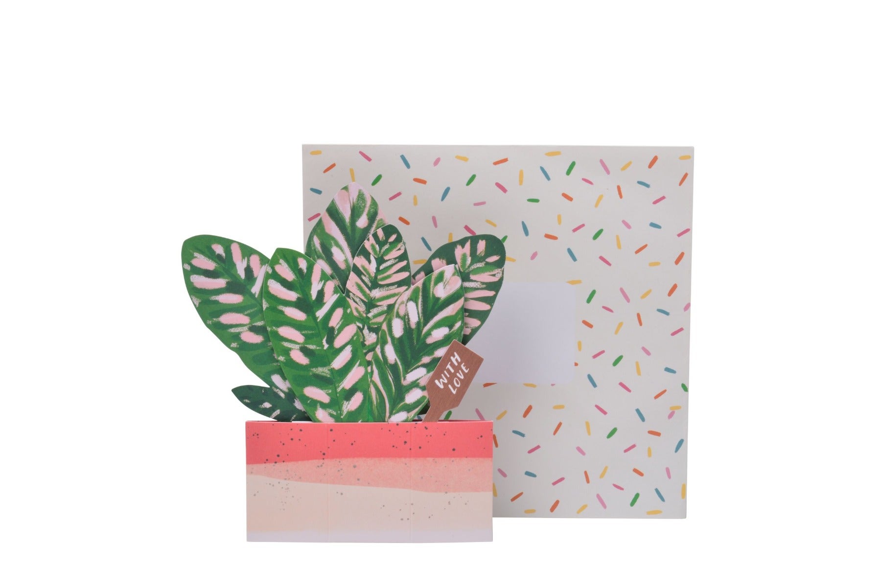 Kort Plant Pot