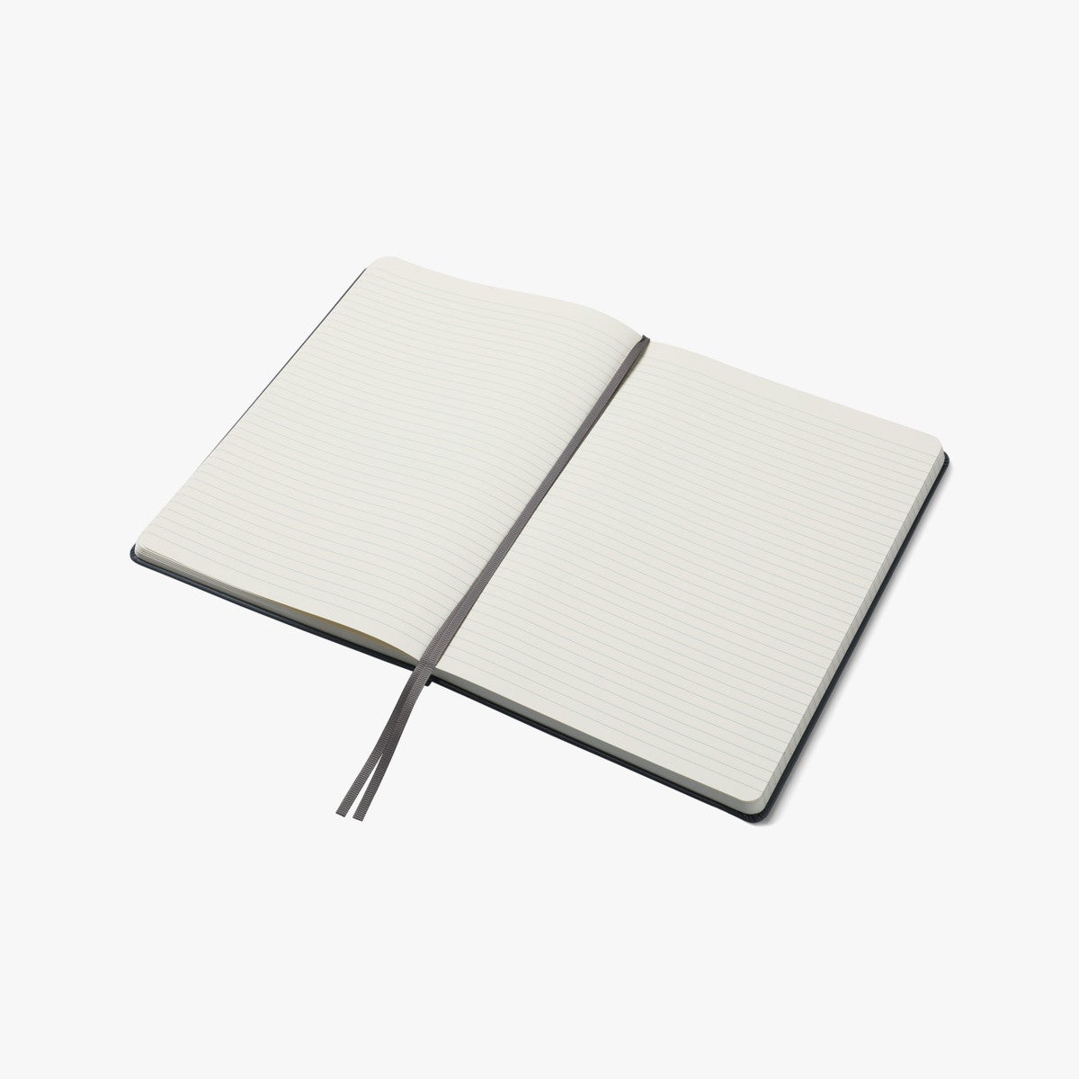 Notatbok Agenzio L Granite Hard Linjert