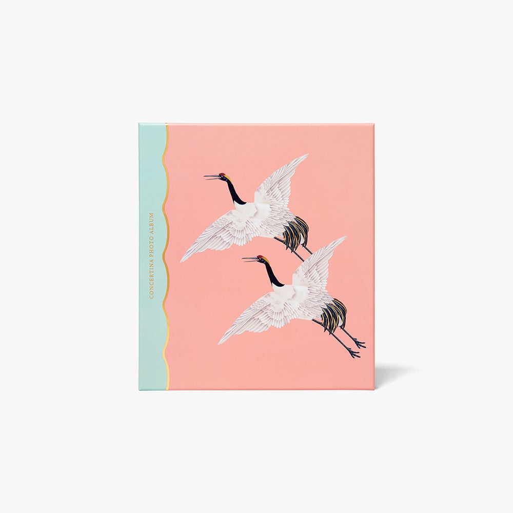 Album Eden Boxed Concertina M
