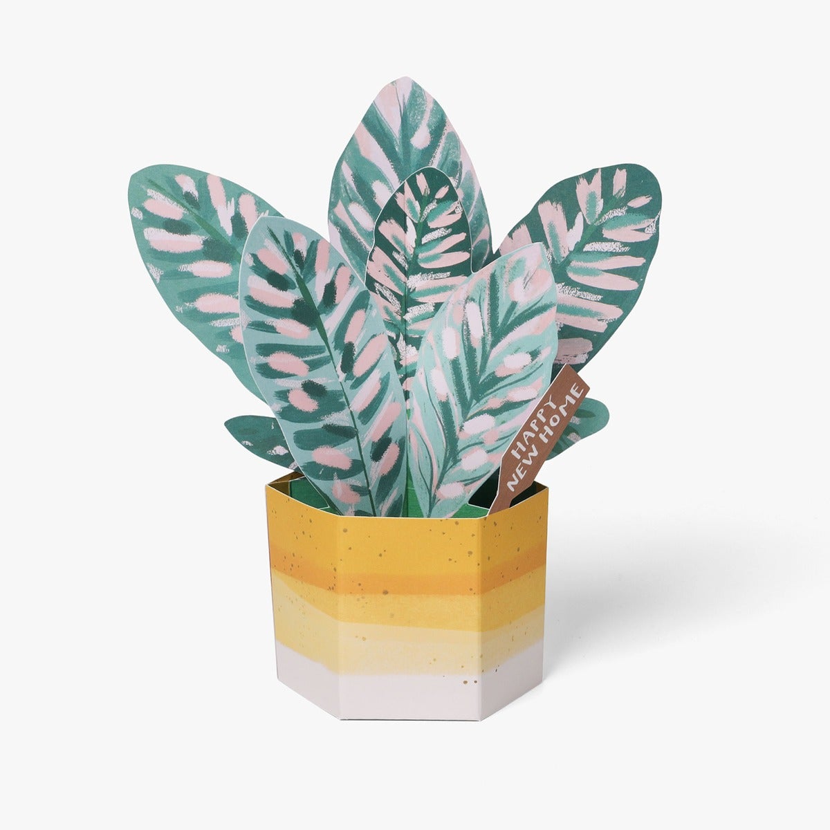 Kort Pop Up House Plant New Home