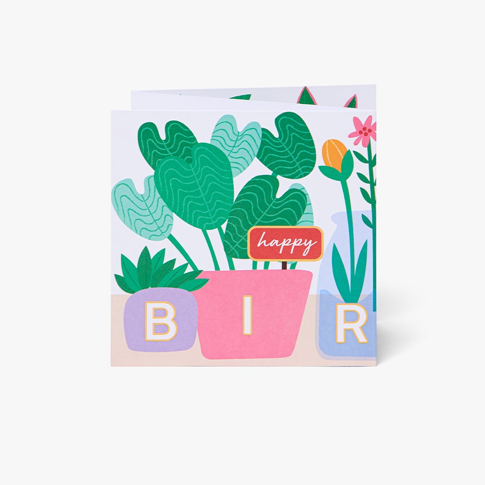 Kort Plants Concertina