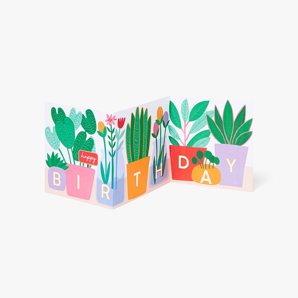 Kort Plants Concertina