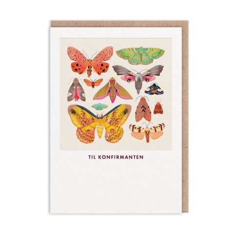 Kort konfirmasjon Moths And Butterflies