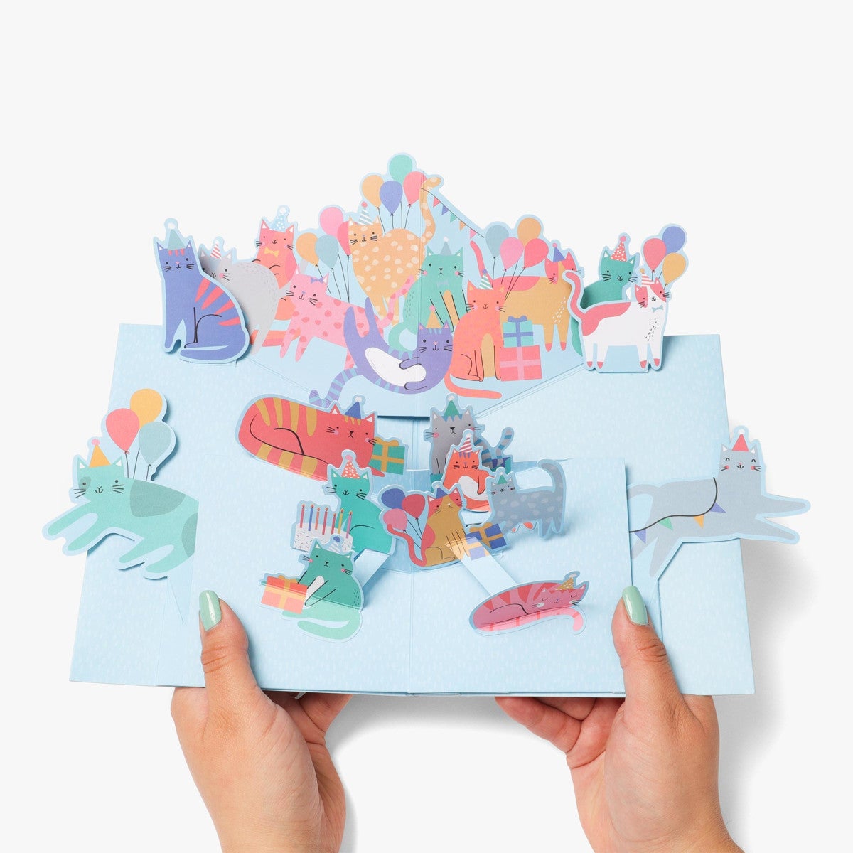 Kort Purrfect Birthday Pop Up Cats
