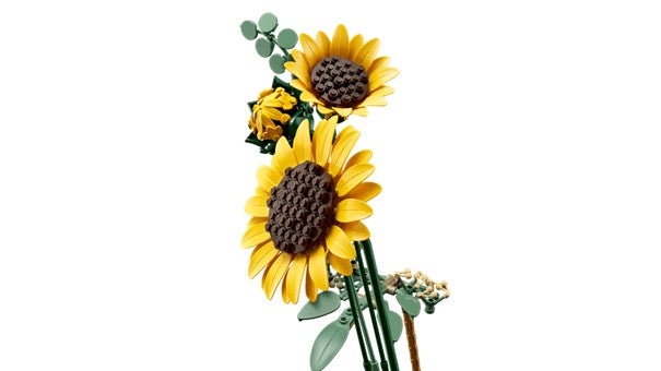 Lego BOTANICALS 11502