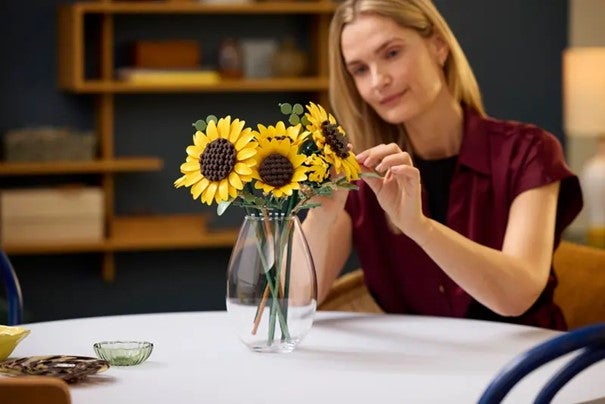 Lego BOTANICALS 11502