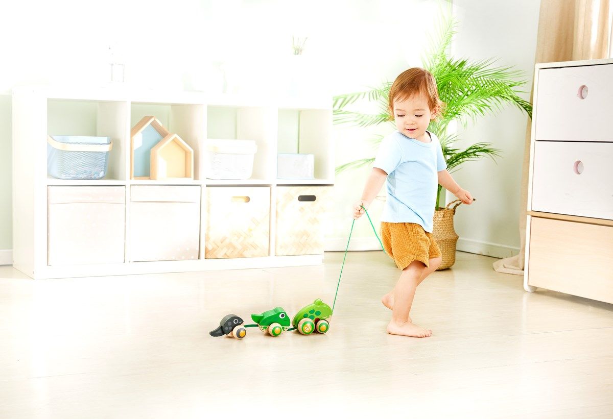 Hape Pull Along Frog Family