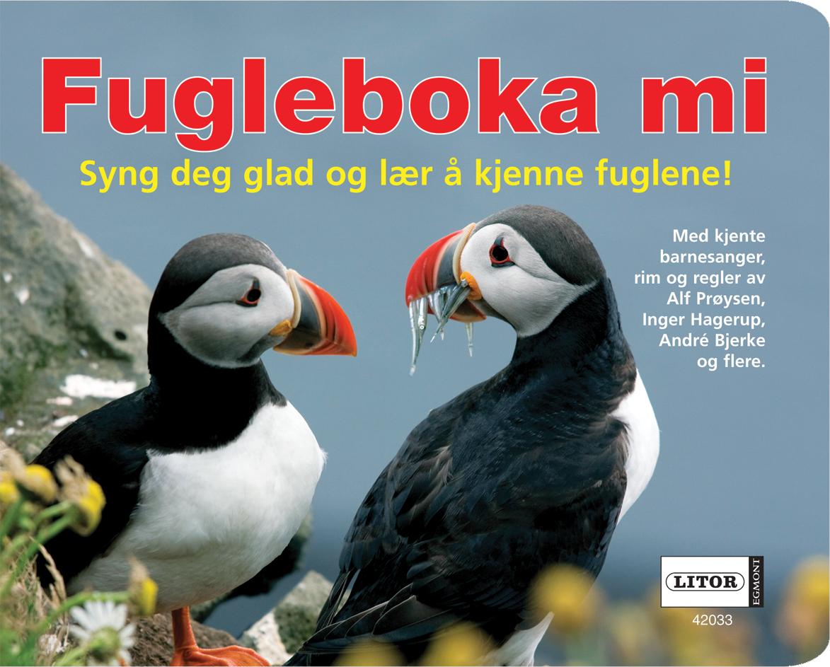 Fugleboka mi - syng deg glad og lær å kjenne fuglene!