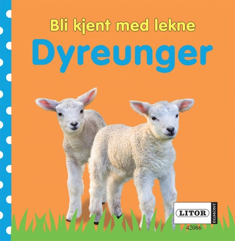Bli kjent med lekne dyreunger
