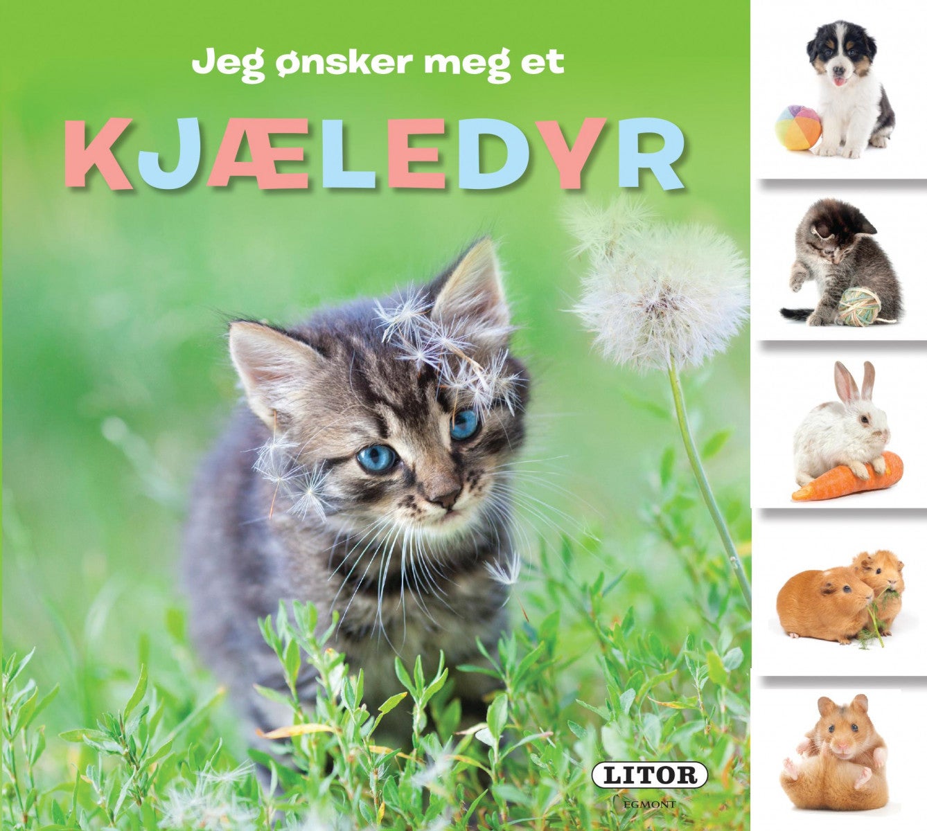 Jeg ønsker meg et kjæledyr