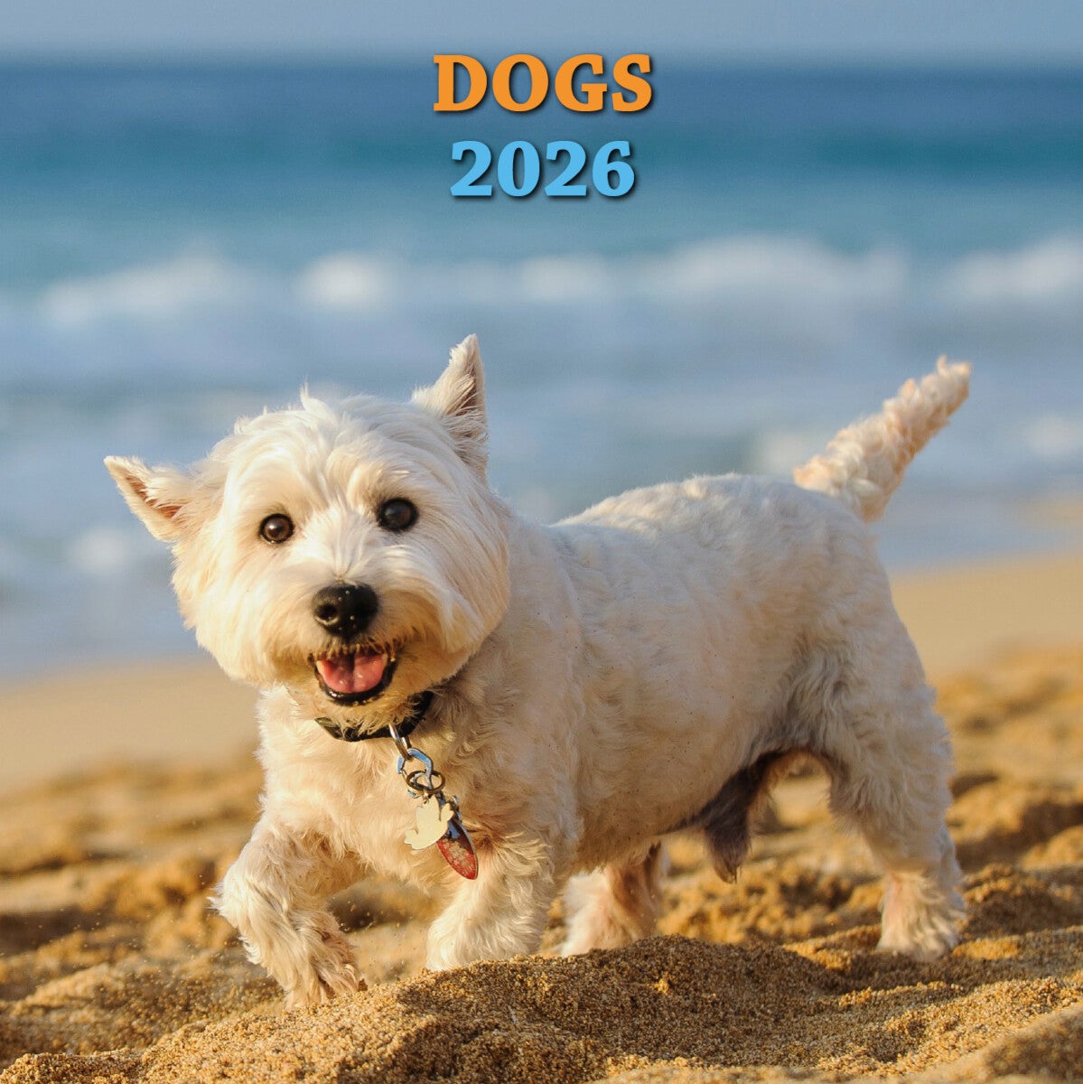 Kalender 2026 Dogs 18X18Cm