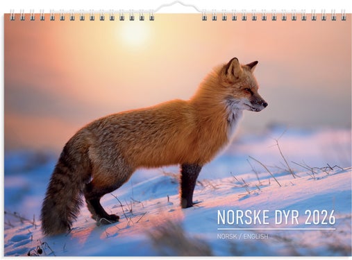 Veggkalender Grieg 2026 Norske dyr
