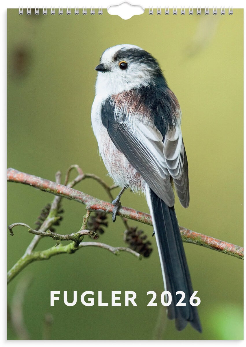 Veggkalender Grieg 2026 Fugler