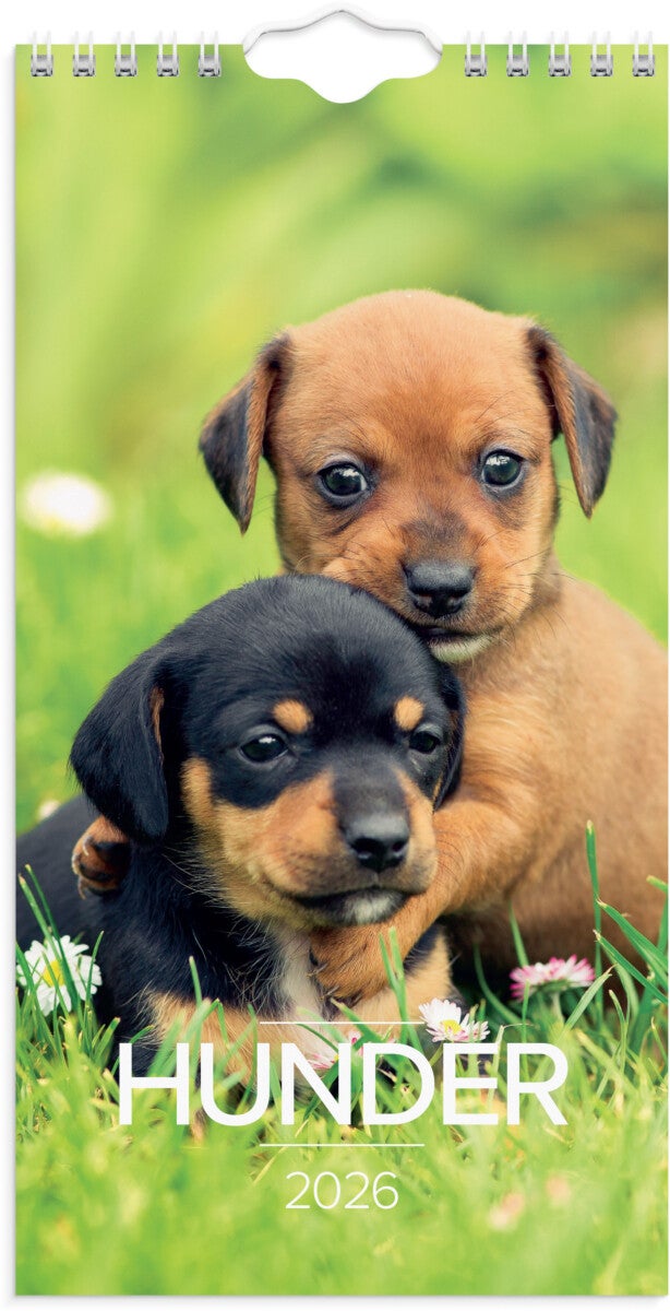 Veggkalender Grieg 2026 Hunder Mini