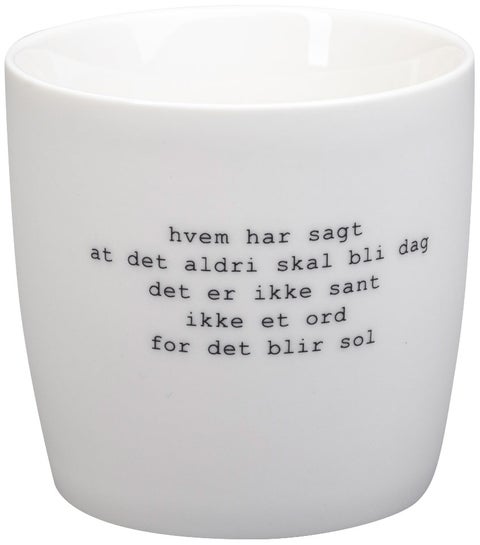 Kopp Sögne Trygve Skaug hvem har sagt