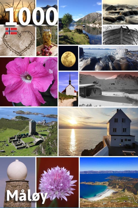 Puslespill 1000 biter Måløy og omegn Collage