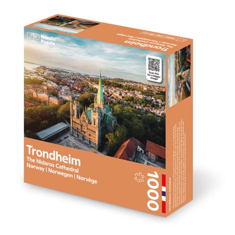 Nidarosdomen - 1000 brikker