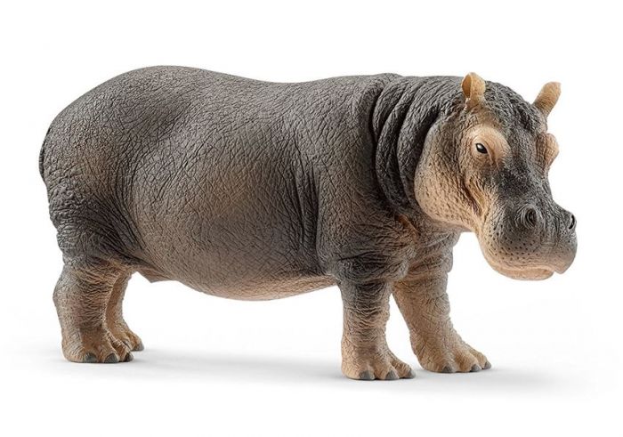 Schleich Flodhest