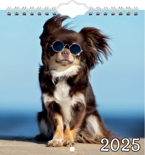 Kalender 2025 Hunder M