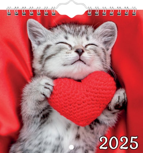 Kalender 2025 Katter M