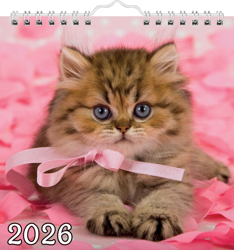 Kalender Katt 2026