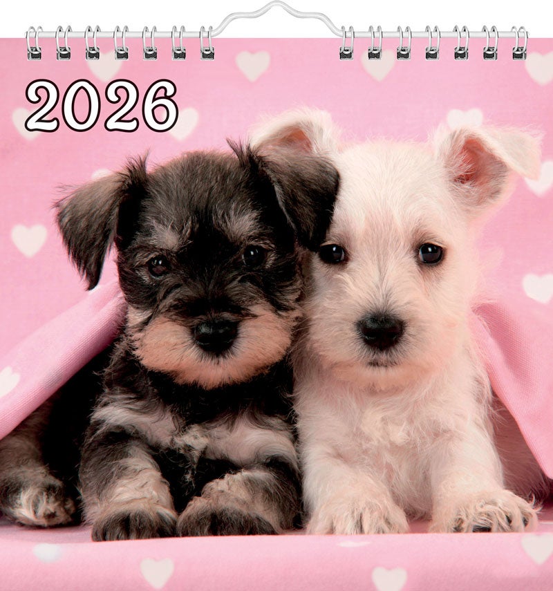 Kalender Hund 2026