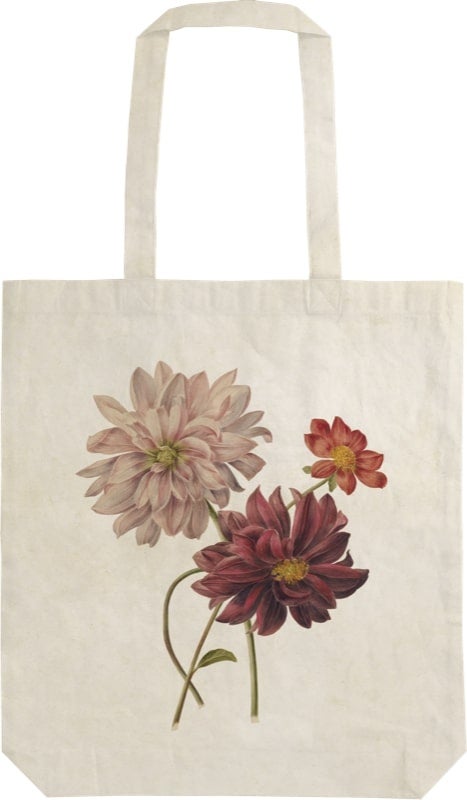 Handlenett Sköna Ting Georginer